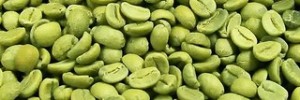 Green Coffee Extract